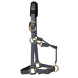 KM Elite Padded Headcollar Grey Grey Small (Large Pony) Headcollars