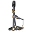 Gray nylon km elite padded headcollar grey with gold-tone hardware and black padded luxurious head collar design