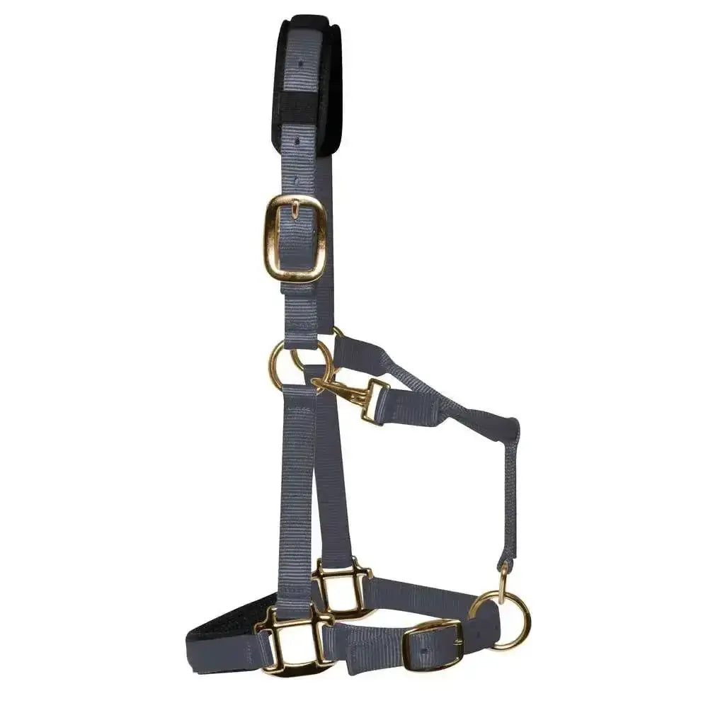 Gray nylon km elite padded headcollar grey with gold-tone hardware and black padded luxurious head collar design