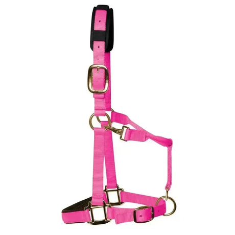 KM Elite Padded Headcollar Hot Pink Pink Large (Full) Headcollars