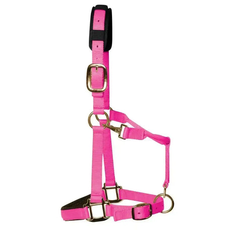 Bright pink nylon km elite padded headcollar with black padded noseband and gold hardware luxurious head collar