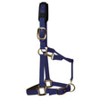 Royal blue nylon km elite padded headcollar navy with gold hardware and black padded headpiece for comfort