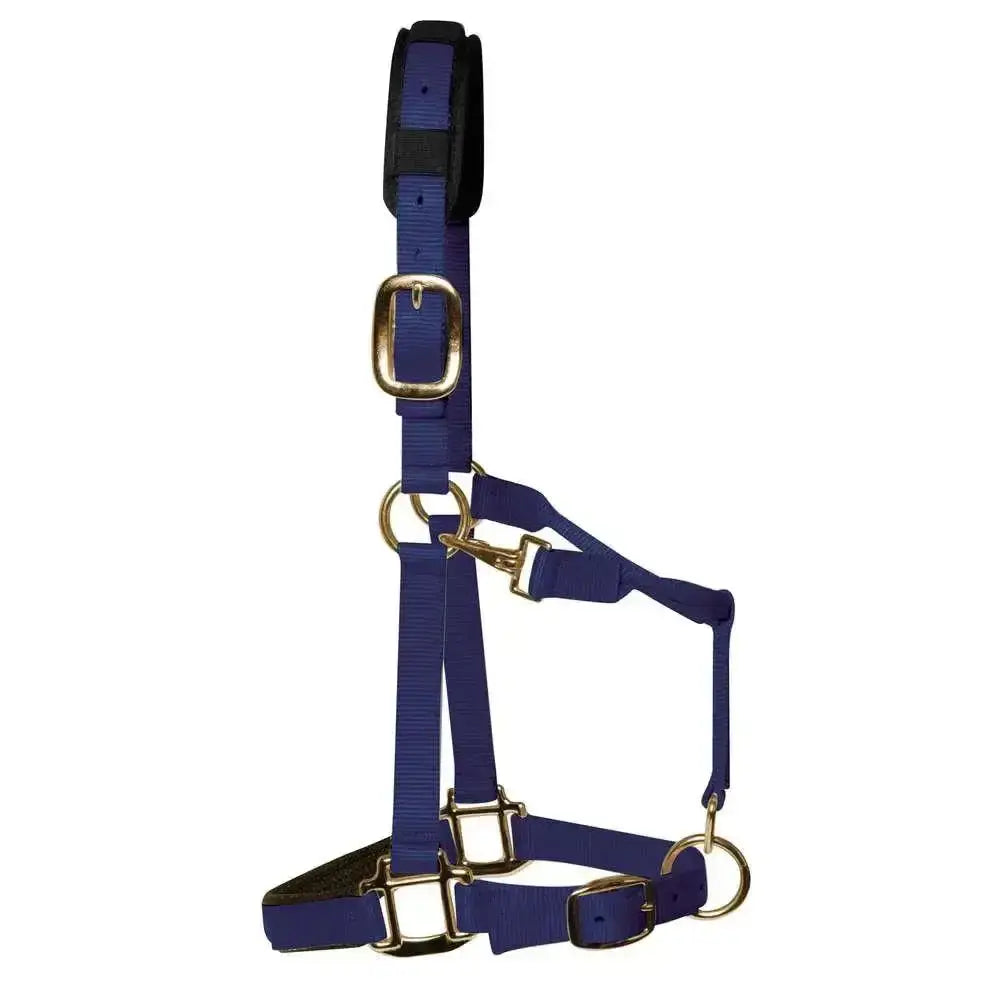 Royal blue nylon km elite padded headcollar navy with gold hardware and black padded headpiece for comfort