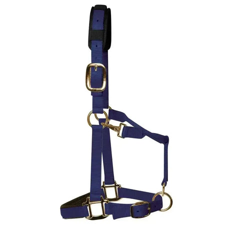 Royal blue nylon km elite padded headcollar navy with gold hardware and black padded headpiece for comfort