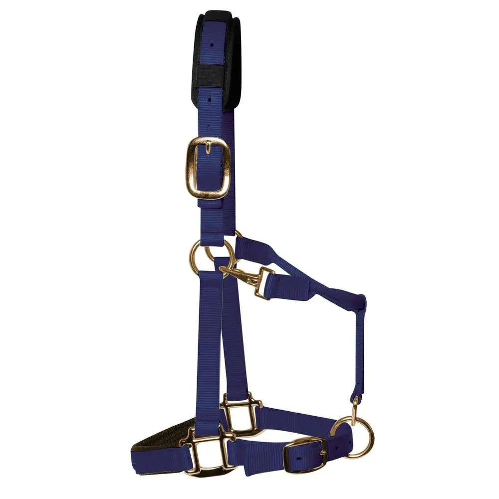 KM Elite Padded Headcollar Navy Navy XXXS (Shetland) Barnstaple Equestrian Supplies