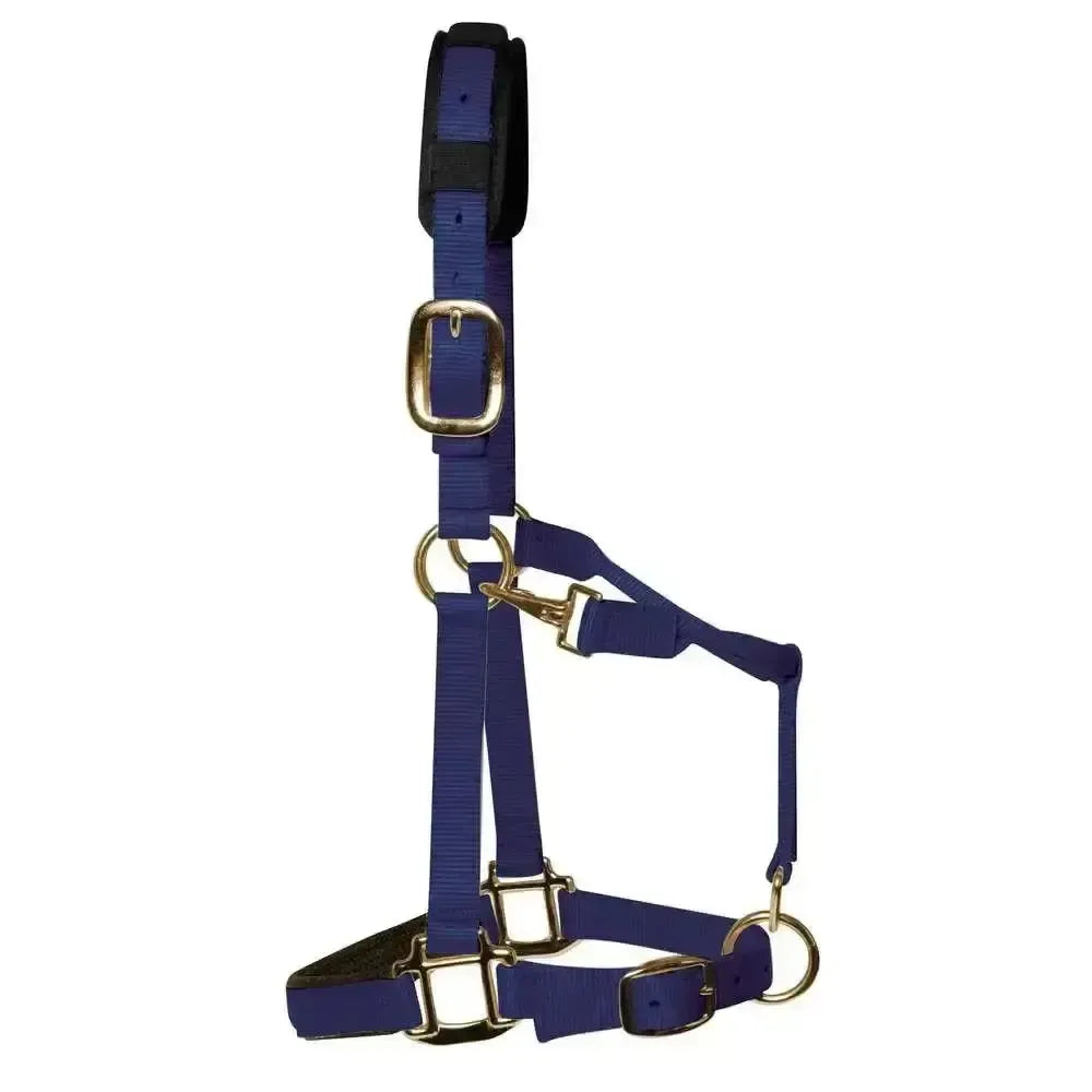 KM Elite Padded Headcollar Navy Navy XXX Small (Shetland) Headcollars