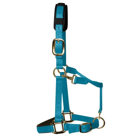 Bright turquoise nylon elite padded headcollar pastel blue with black padded headpiece and brass hardware for horses