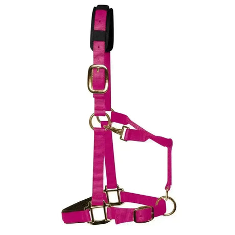 KM Elite Padded Headcollar Raspberry Raspberry Small (Large Pony) Headcollars