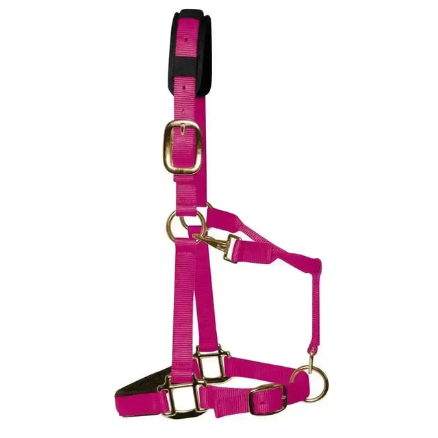 KM Elite Padded Headcollar Raspberry Raspberry Small (Large Pony) Headcollars
