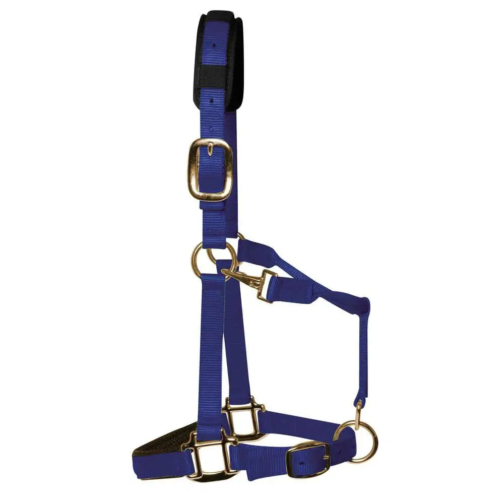 KM Elite Padded Headcollar Royal Blue Blue Small (Large Pony) Barnstaple Equestrian Supplies