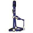 Royal blue nylon km elite padded headcollar with gold hardware and black padded headpiece for a luxurious fit