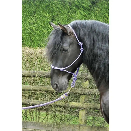 KM Elite Rope Halter Black/Grey Grey Rope Headcollars