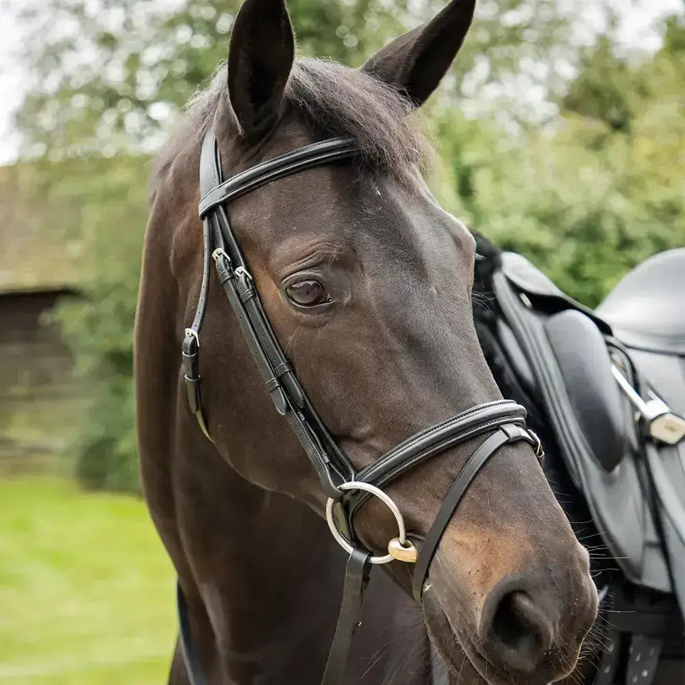 Km elite training bridle black made from highest quality italian leather with silver metal hardware in training bridle black style