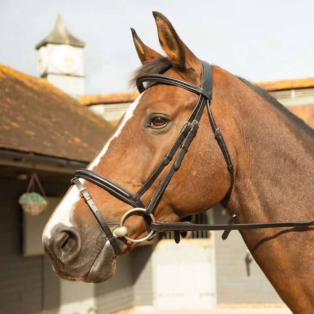 Black leather km elite training bridle havana with silver ring and adjustable straps made from highest quality italian leather