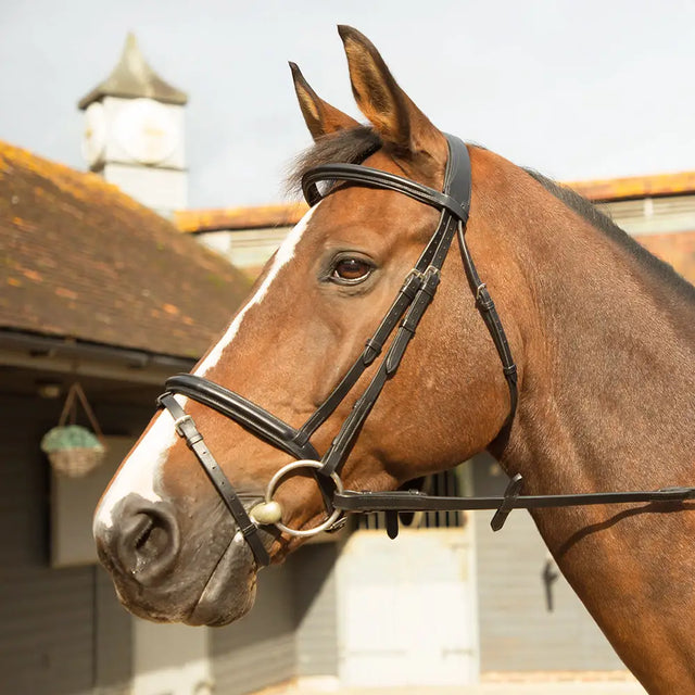 Black leather km elite training bridle havana with silver ring and adjustable straps made from highest quality italian leather