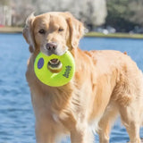 Kong Airdog Squeaker Donut Medium Dog Toys