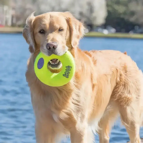 Kong Airdog Squeaker Donut Medium Dog Toys