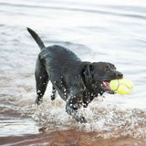A black labrador retriever running with a bright yellow kong airdog squeaker dumbbell in its mouth in shallow water