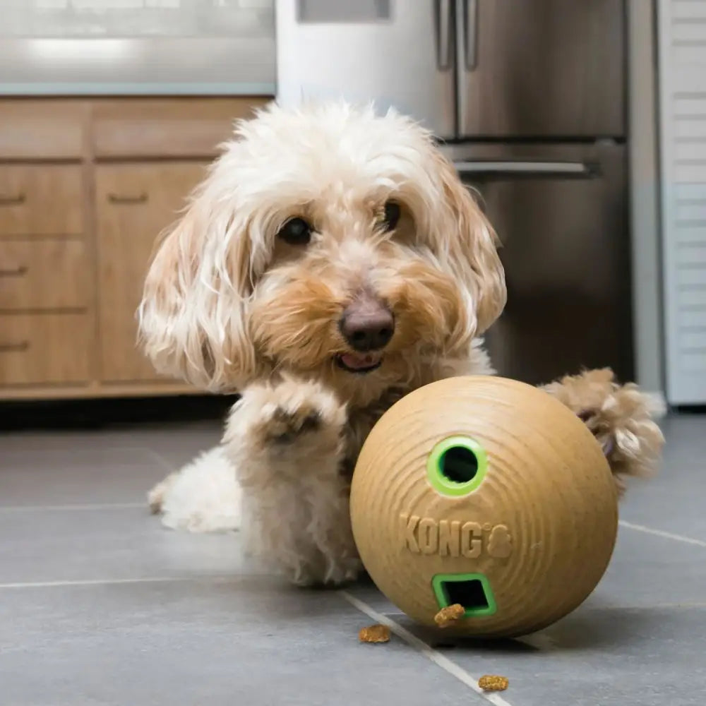 Tan kong interactive dog toy ball with green bamboo feeder ball openings for an irresistibly unpredictable playtime
