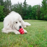 Kong Classic X Small Red Dog Toys