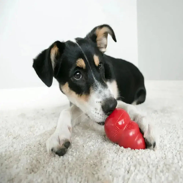Red kong classic puppy toy made of durable rubber is a gold standard dog toy for chewing and playtime fun