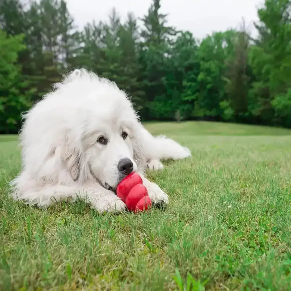 Red textured dog toy made of durable rubber from kong classic the gold standard in dog toys