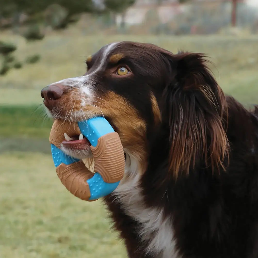 Kong Corestrength Bamboo Ring Dog Toy Small Dog Toy Barnstaple Equestrian Supplies