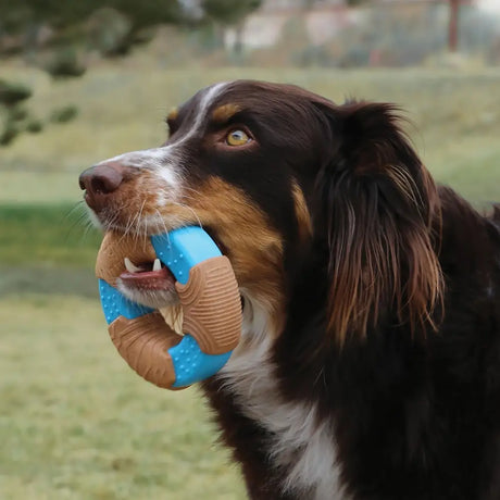 Kong Corestrength Bamboo Ring Dog Toy Small Dog Toy Barnstaple Equestrian Supplies