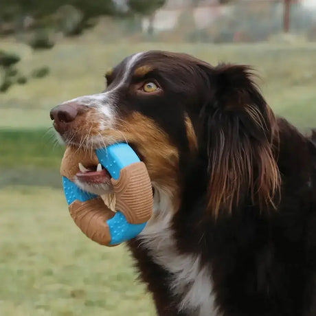 Kong Corestrength Bamboo Ring Dog Toy Small Dog Toys