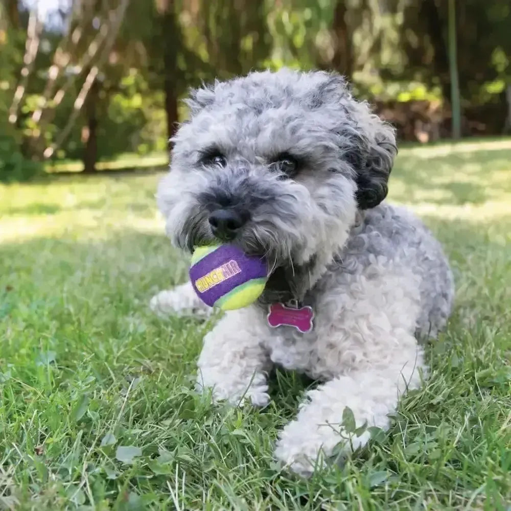 Kong Crunchair Balls Small Dog Toys