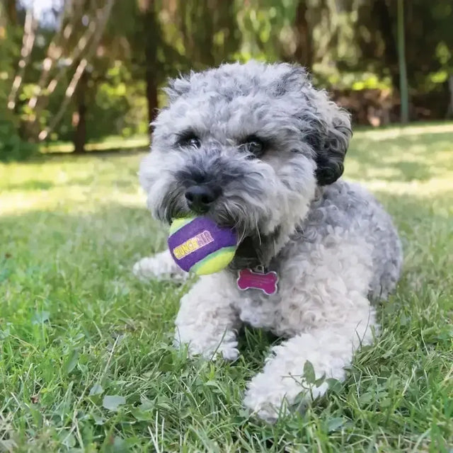 Kong Crunchair Balls Small Dog Toys