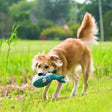 Teal and white striped fish-shaped dog toy with embroidered eyes from kong cuteseas whale collection