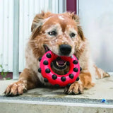 Kong Dotz Circle Small Dog Toys