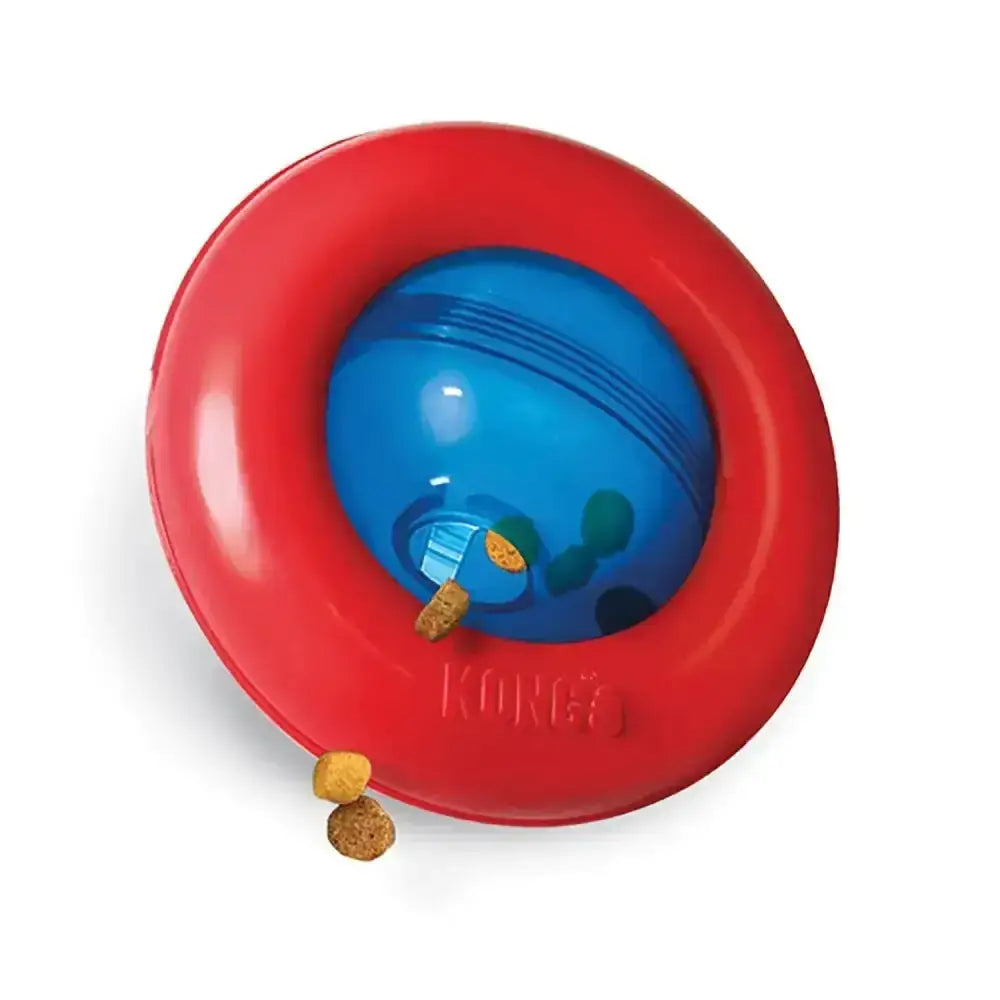 Kong Gyro Small Dog Toys
