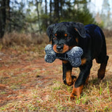 Kong Maxx Bone Dog Toy Small/Medium Dog Toy Barnstaple Equestrian Supplies