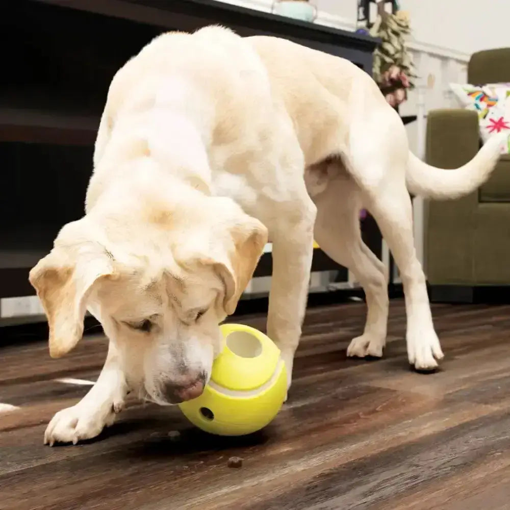 Kong Rewards Tennis Small Dog Toys