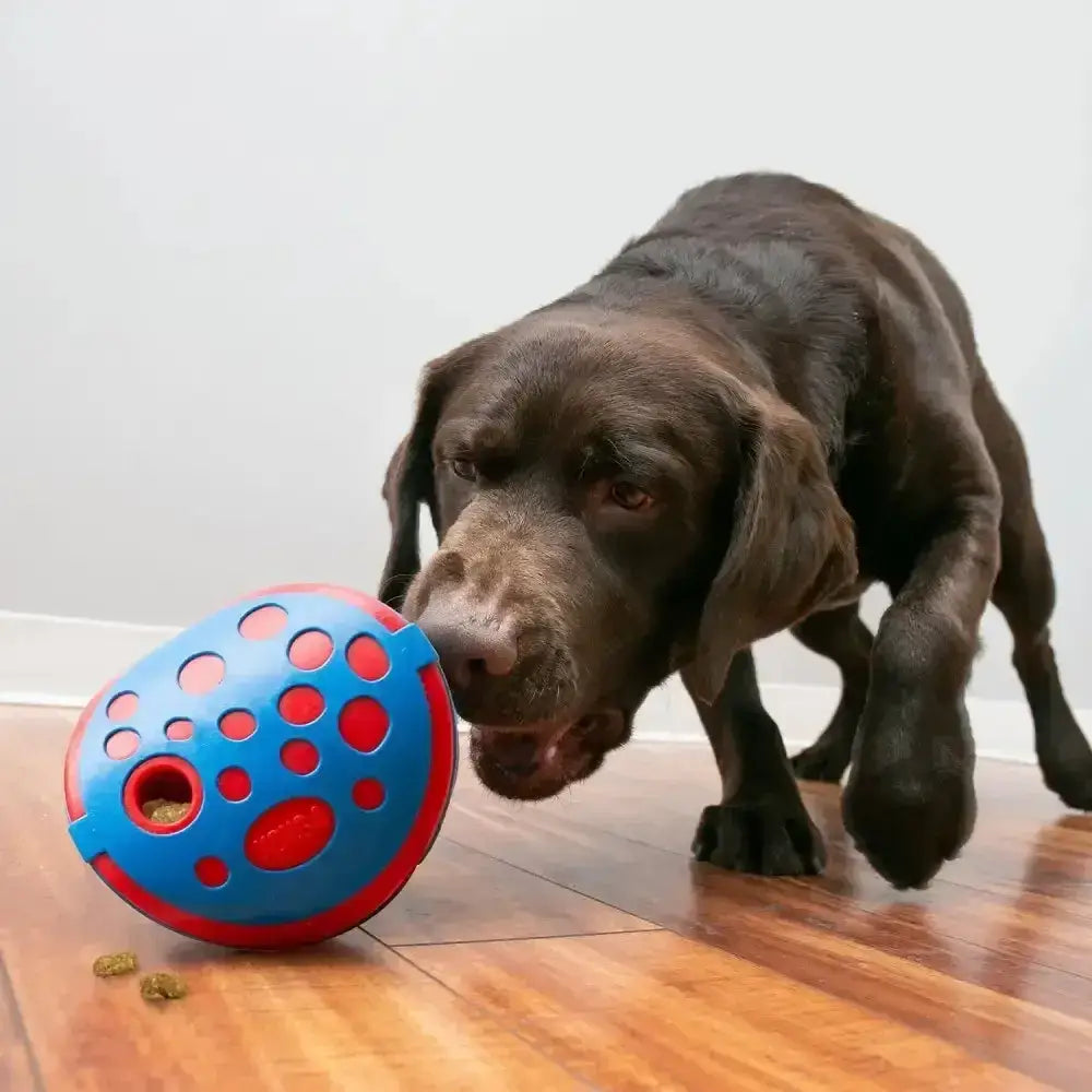 Blue and red kong rewards wally dog toy with circular holes for gradually dispensing kibble and interactive play