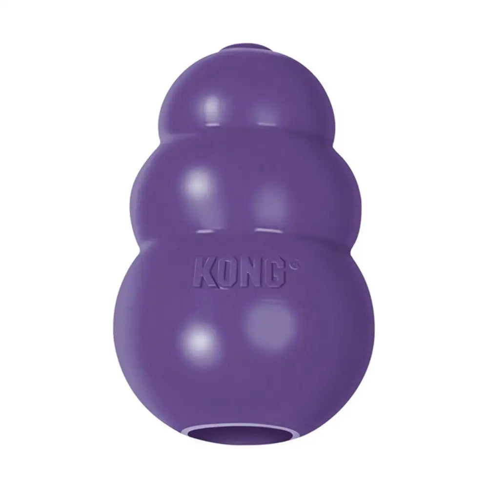 Kong Senior Small Purple Dog Toy Barnstaple Equestrian Supplies