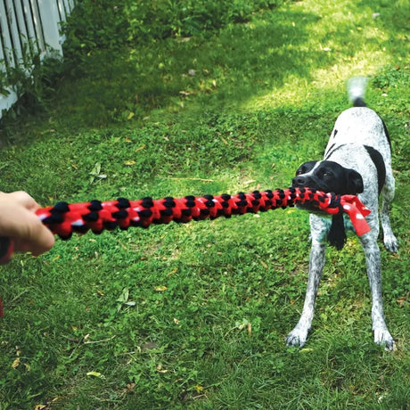 Kong Signature Rope Mega Dual Knot 40" Dog Toy Barnstaple Equestrian Supplies