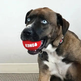 Red kong signature sport ball made of durable rubber designed for dynamic bounce deliver and long lasting fetching fun