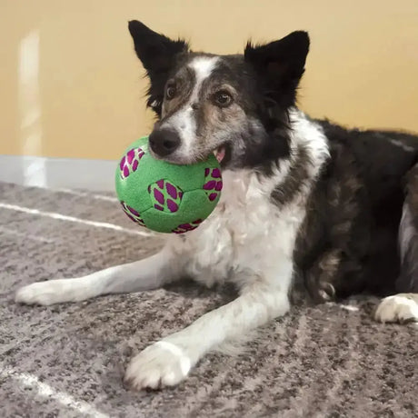 Kong Sneakerz Sport Soccer Ball Dog Toy Medium Dog Toys