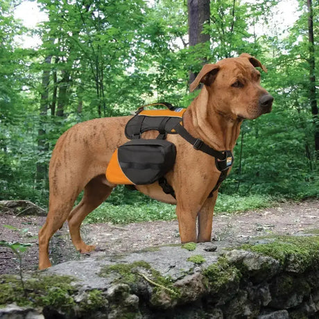A black and orange kurgo big baxter dog backpack with a unique adjustable saddlebag construction for outdoor use