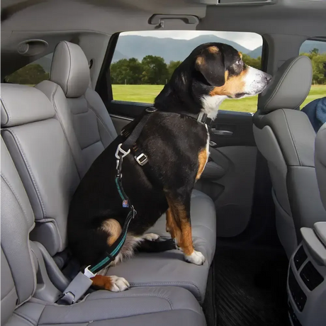 Kurgo Direct To Seatbelt Swivel Tether Small Blue Dog