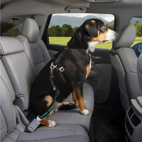 Black and tan dog wearing a green harness with silver buckles secured by kurgo direct seatbelt swivel tether in car seat