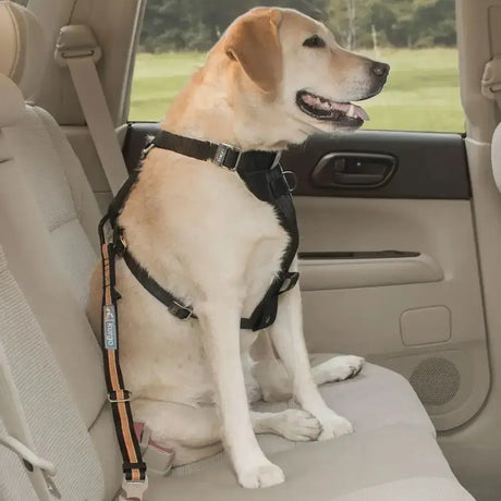 Black dog harness with orange and gray striped straps featuring swivel action in kurgo direct to seatbelt tether