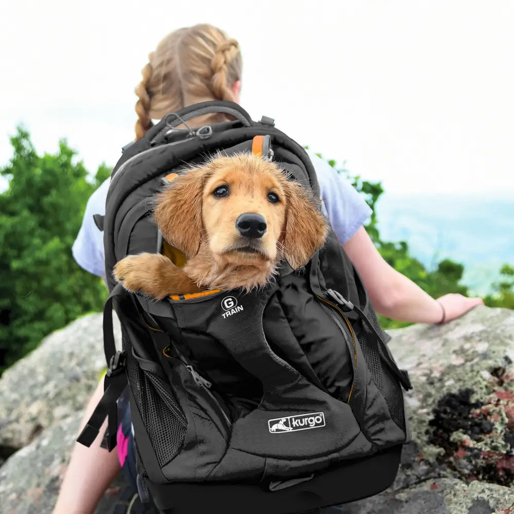 Black kurgo g-train k9 pack dog carrier backpack with orange accents and front pocket featuring g train logo
