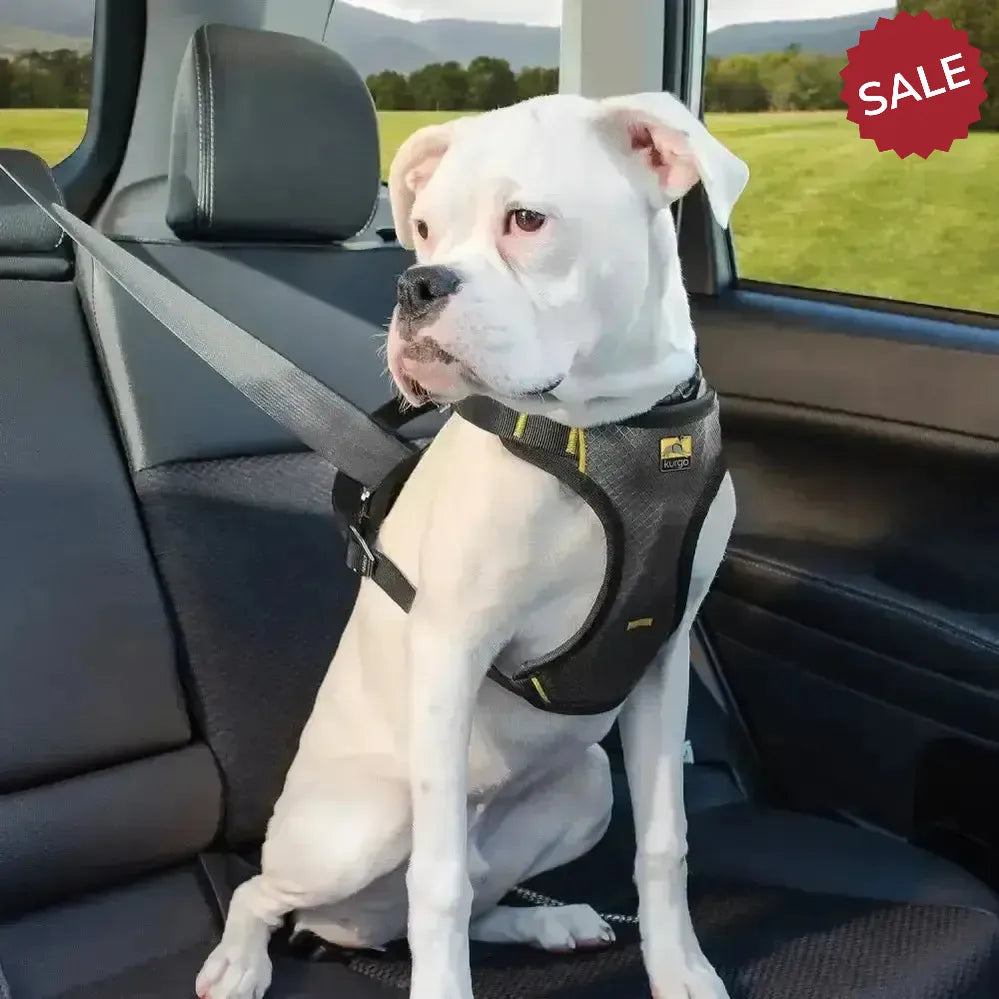 Kurgo Impact Seatbelt Harness Medium Black Dog Harness