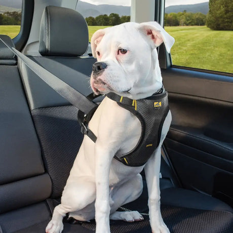 Black and yellow Kurgo impact seatbelt harness with adjustable straps for secure car travel and seatbelt harness purpose