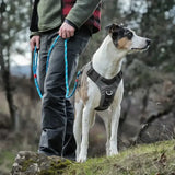 Kurgo journey air harness black gargoyle with adjustable straps and metal d-ring for secure dog walking