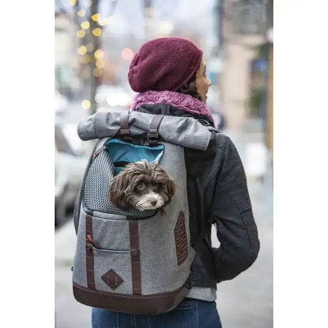 Gray and brown kurgo k9 rucksack pet carrier backpack with mesh front, leather accents, teal lining, adjustable sternum straps